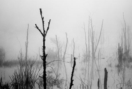 Surreal by Pen Waggener, Flickr